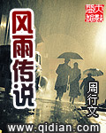 風雨傳說小说封面