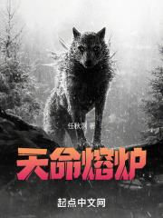 天命熔炉:从剑道少女开始拯救