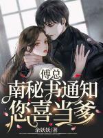 南如烟傅北霆