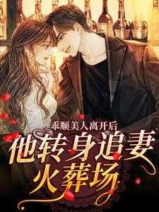 乖顺美人离开后,他转身追妻火葬场