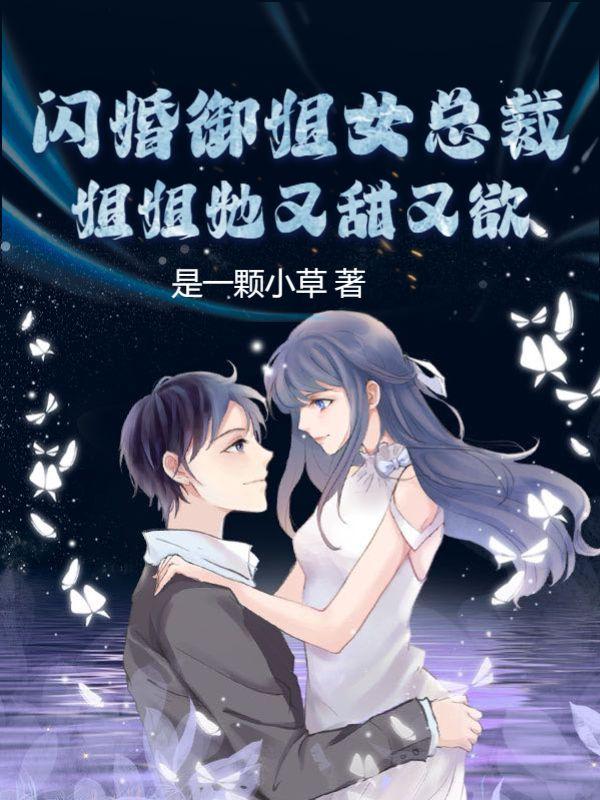 闪婚御姐女总裁,姐姐她又甜又欲