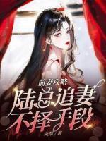 时夏陆迟渊