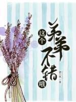 宋安明言锦