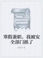 寒假兼职,我被安全部门抓了