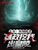 嬴政赵夜辰