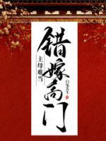 纪初禾萧晏安