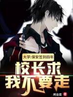 叶枫王二狗