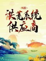叶枫孙悟空