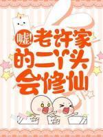 许秋秋许秋河