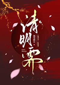 清明霁(双强权谋)