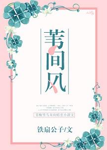 苇间风完结