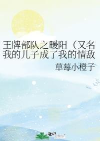 王牌部队之暖阳(又名我的儿子成了我的情敌)