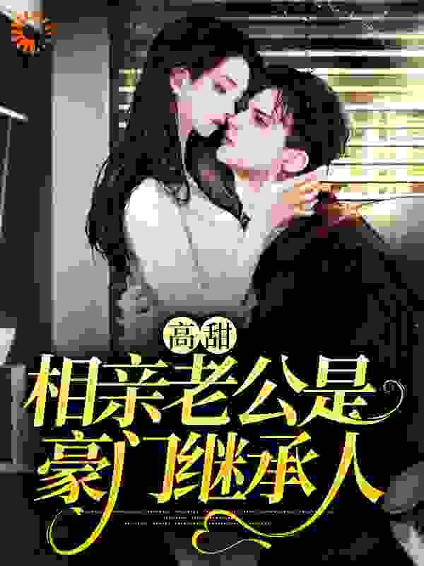 高甜,相亲老公是豪门继承人