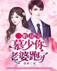 一胎双宝:慕少你老婆跑了
