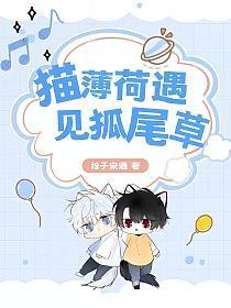 猫薄荷遇见狐尾草