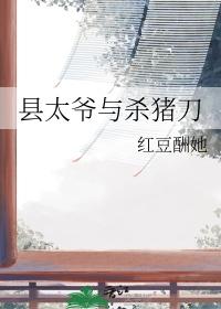 县太爷与杀猪刀