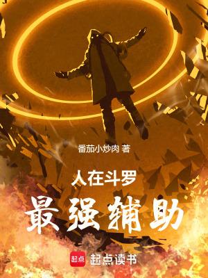人在斗罗，最强辅助