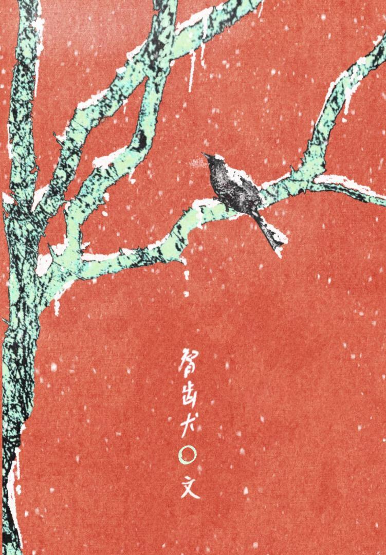 我死后,野史说他们都疯了