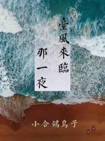 台风来临那一夜