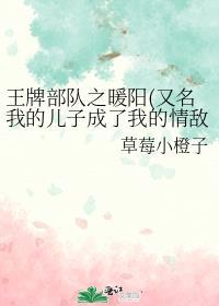 王牌部队之暖阳又名我的儿子成了我的情敌