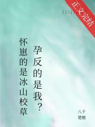 怀崽的是清冷美人,宿敌孕反?