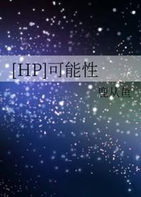 [HP] 可能性