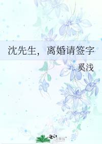 沈先生,离婚请签字