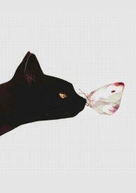 人間好時節 1v1H