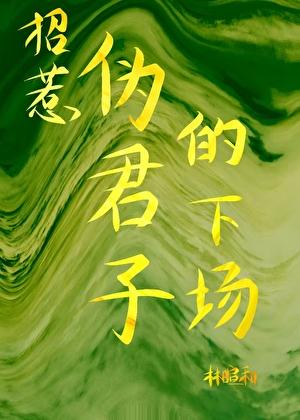 招惹伪君子的下场