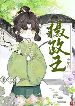 重生回摄政王少年时