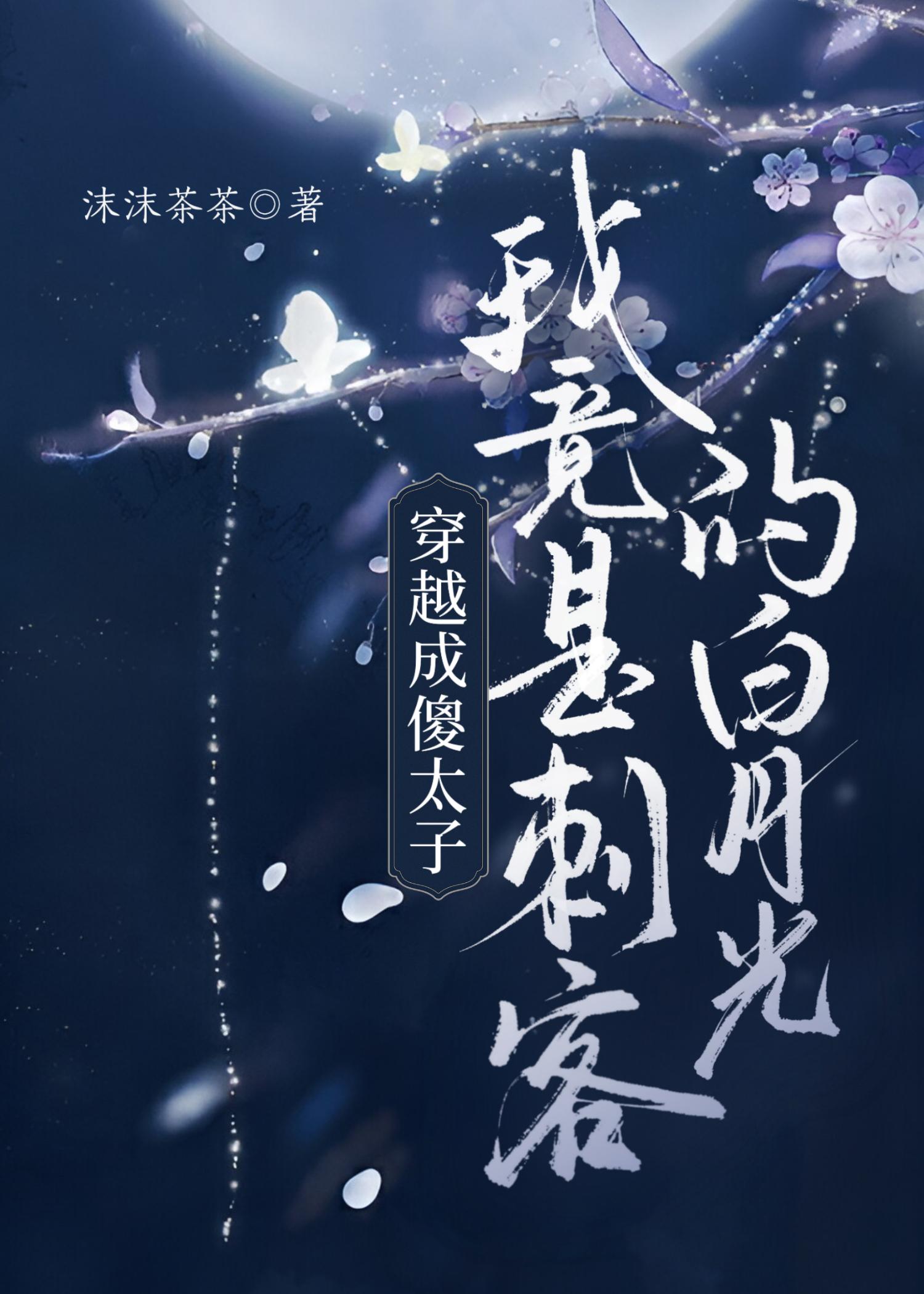 穿越成傻太子，我竟是刺客的白月光