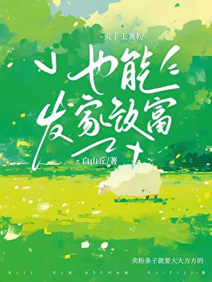 漂亮村长怎么发家致富