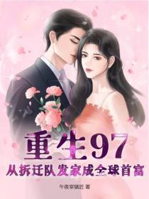 重生97:从拆迁队发家成全球首富