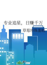 专业追星，日赚千万