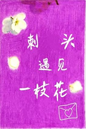 刺头遇见一枝花