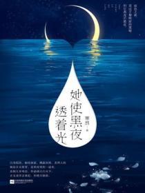 她使黑夜透着光(上下册)