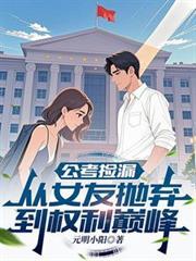 公考捡漏：从女友拋弃到权利巅峰