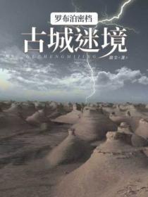 罗布泊密档:古城迷境