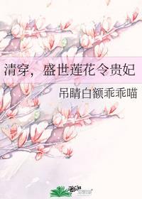 清穿,盛世莲花令贵妃