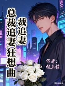 总裁追妻狂想曲