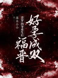 清穿:四爷重生后,福晋好孕成双