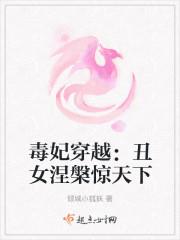 毒妃穿越:丑女涅槃惊天下