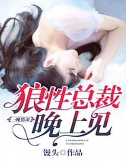 一晚情深:狼性总裁晚上见