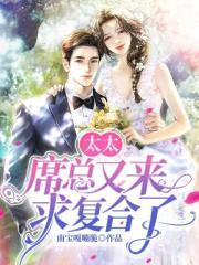 太太,席总又来求复合了