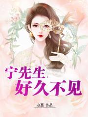 宁先生，好久不见