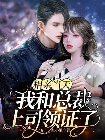 相亲当天,我和总裁上司领证了