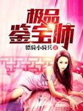 极品鉴宝师