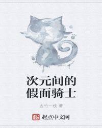 次元间的假面骑士