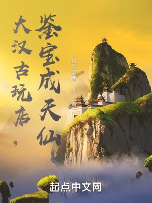 大汉古玩店,鉴宝成天仙