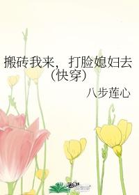 搬砖我来,打脸媳妇去(快穿)